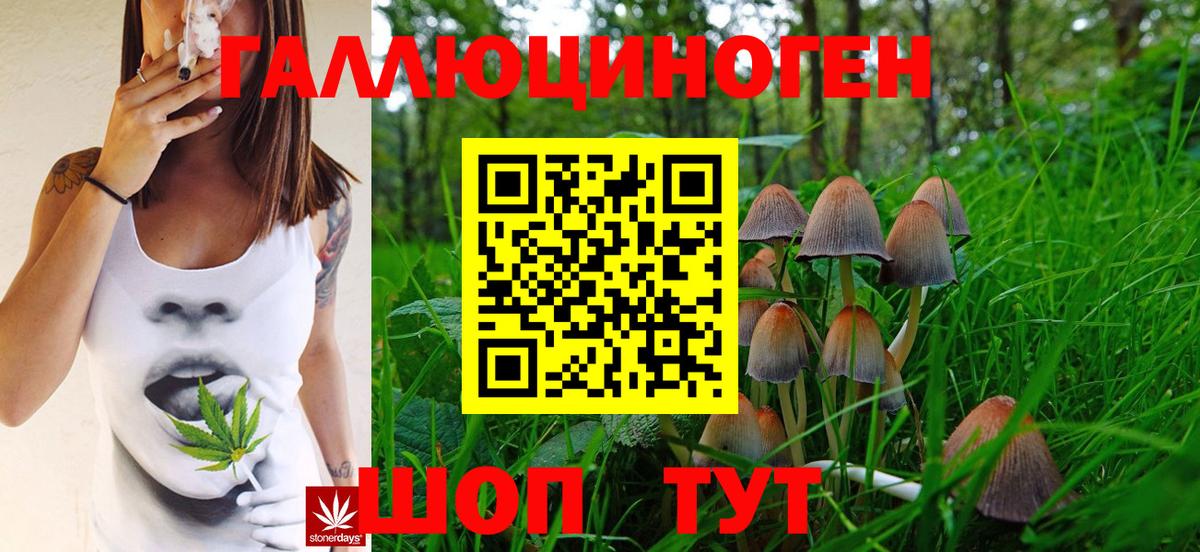Щёлково  Псилоцибиновые грибы Magic Shrooms  Вход с VPN 