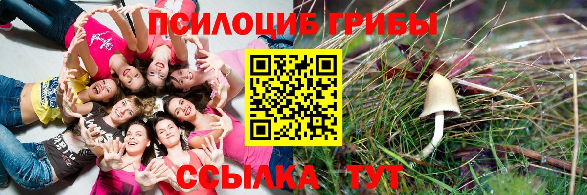 Галлюциногенные грибы GOLDEN TEACHER Щёлково